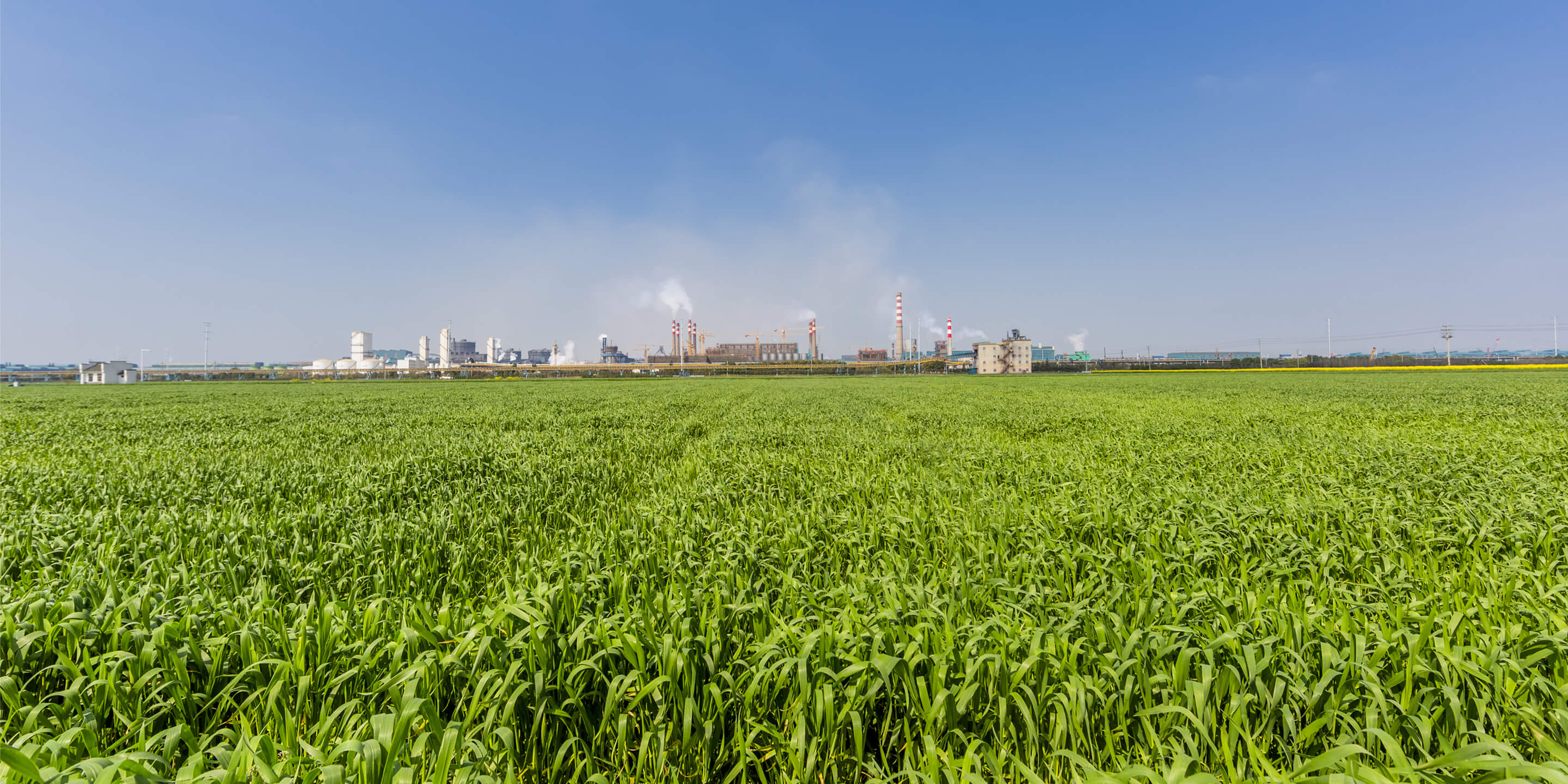 Carbon Capture Carbon Capture
