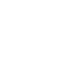Lightbulb icon