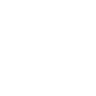 Check icon